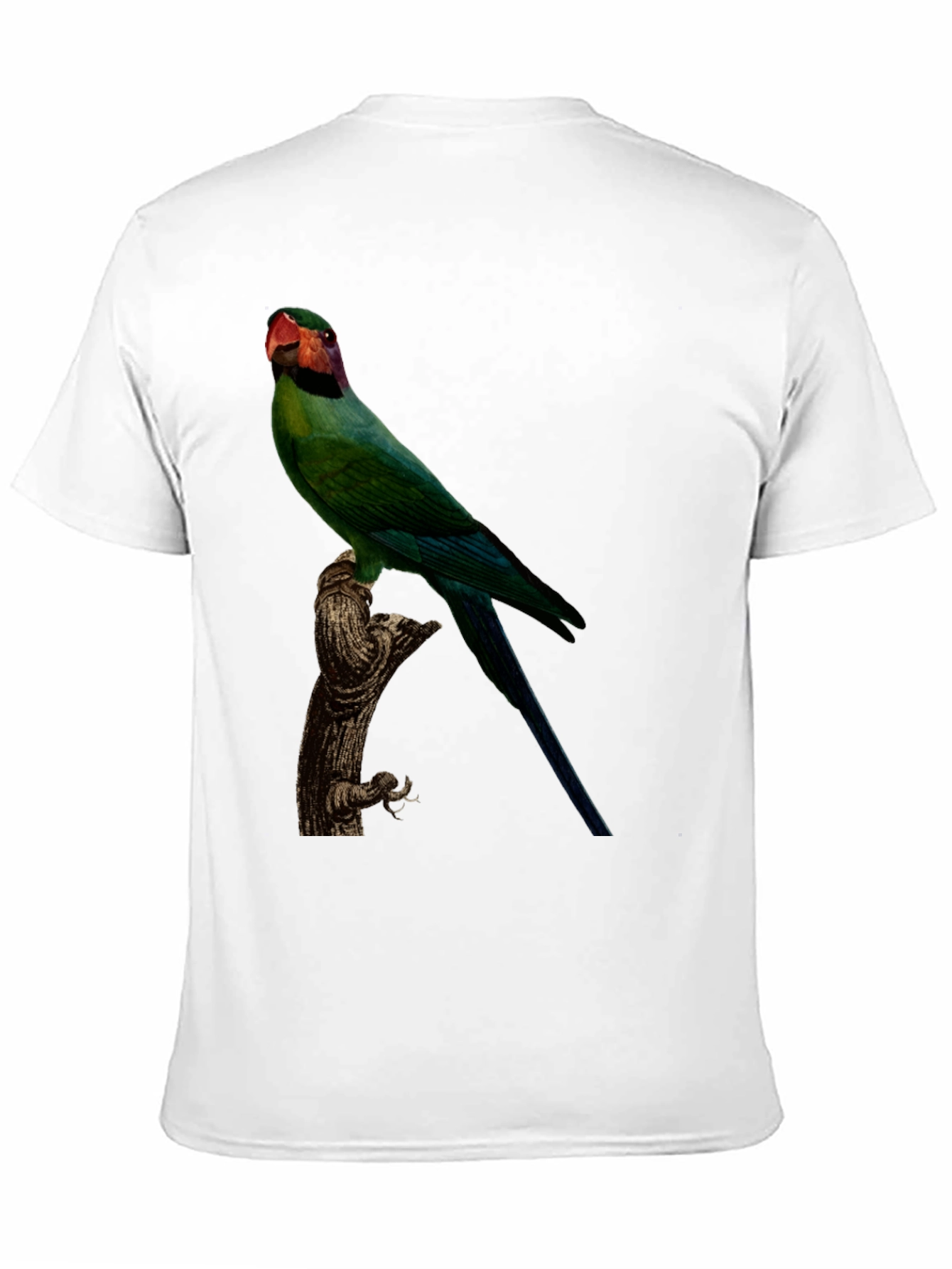 Parrot Graphic Tee - Black Cotton T-Shirt