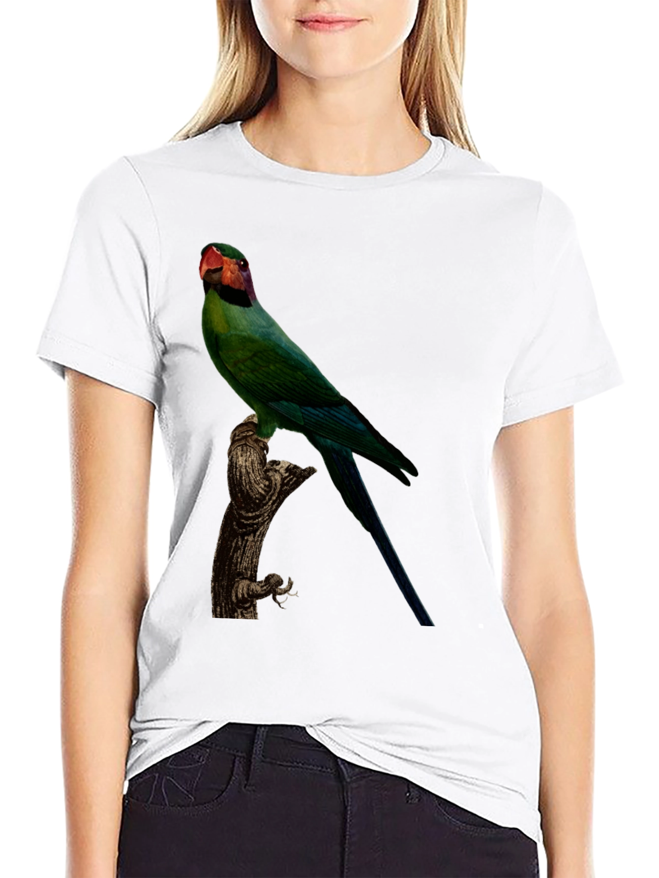 Parrot Graphic Tee - Black Cotton T-Shirt