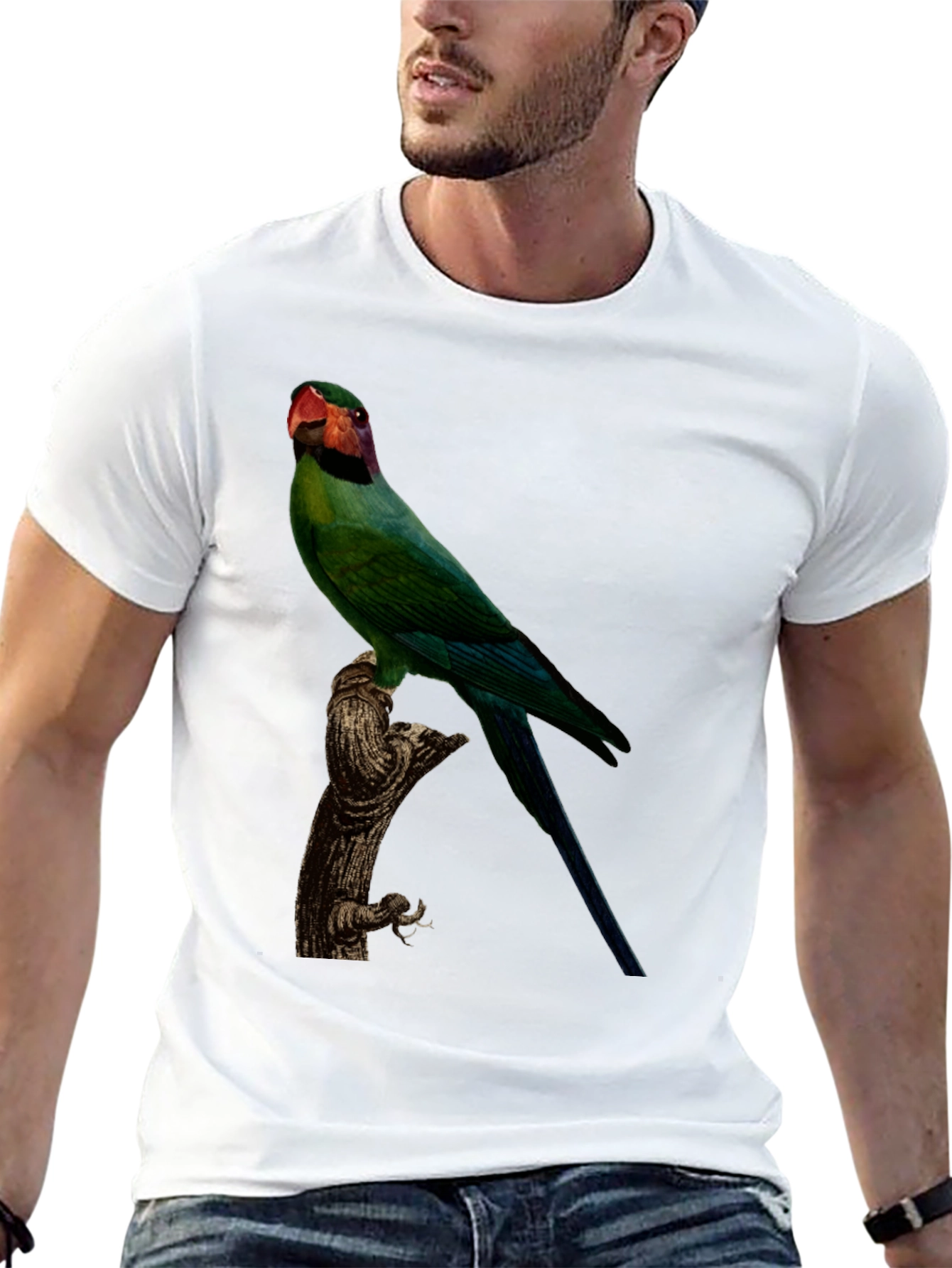 Parrot Graphic Tee - Black Cotton T-Shirt