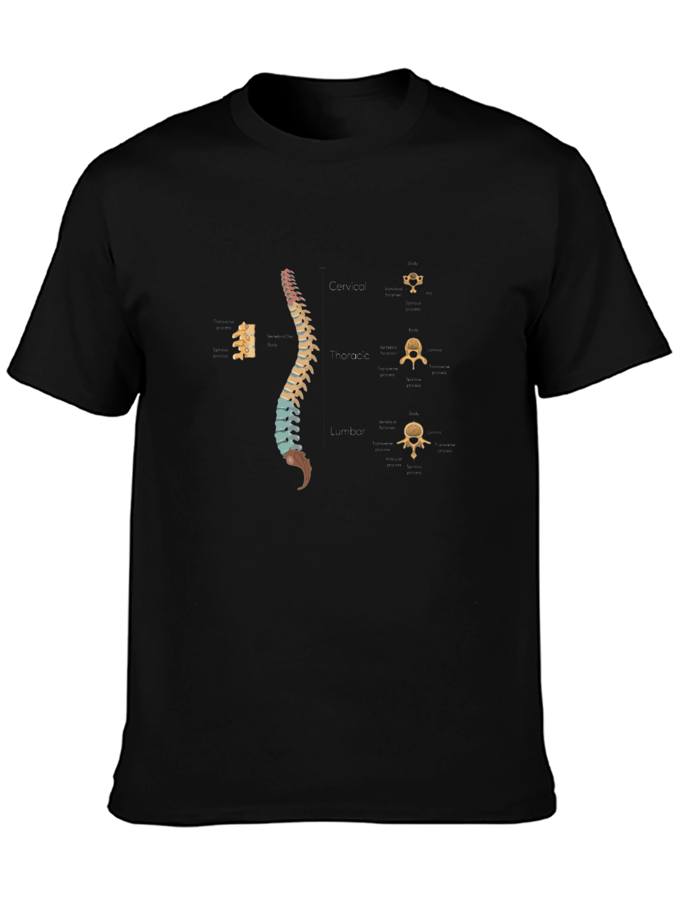 Spine Anatomy Print Black T-Shirt