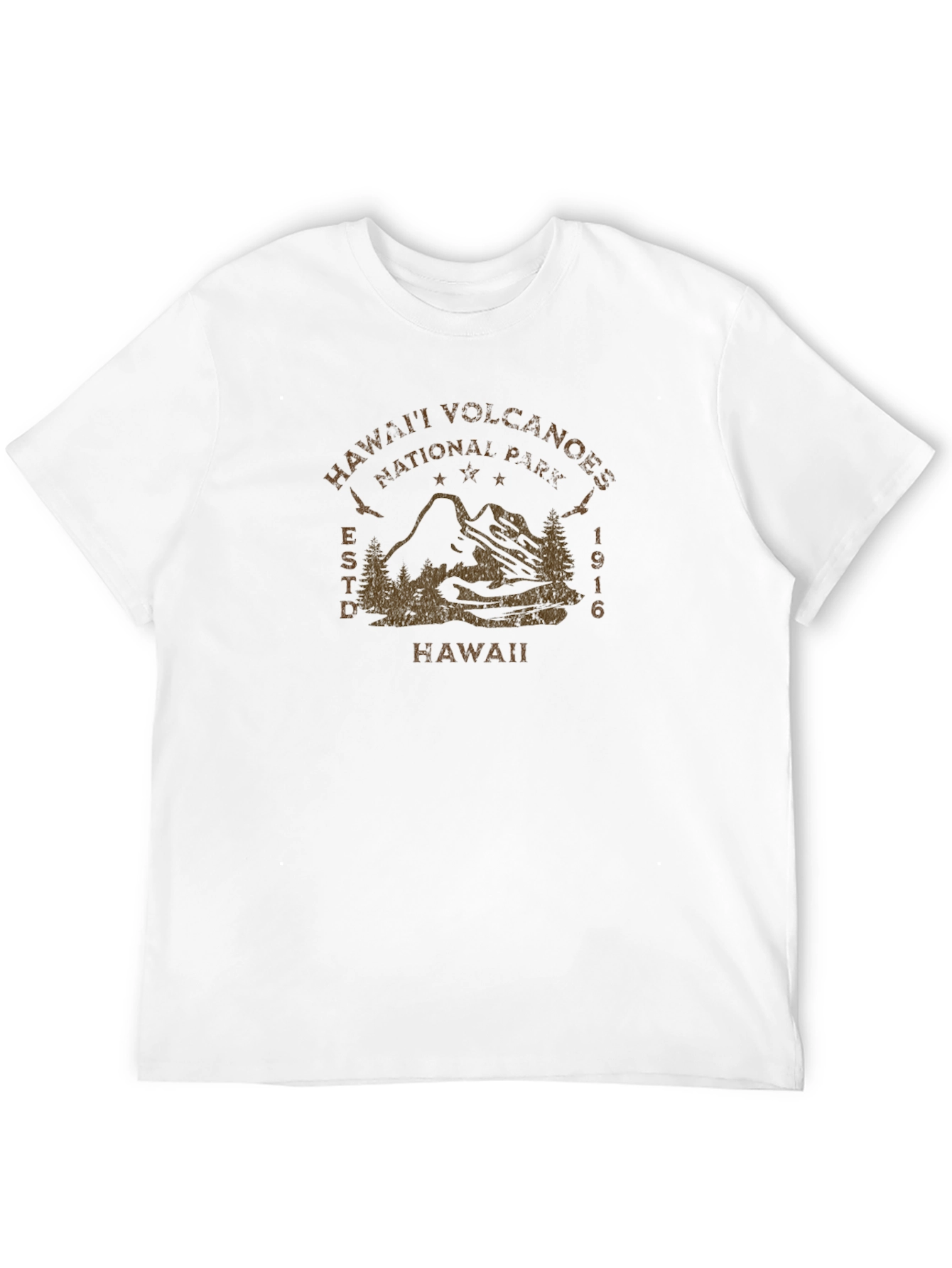 Hawaii Volcanoes National Park Black T-Shirt