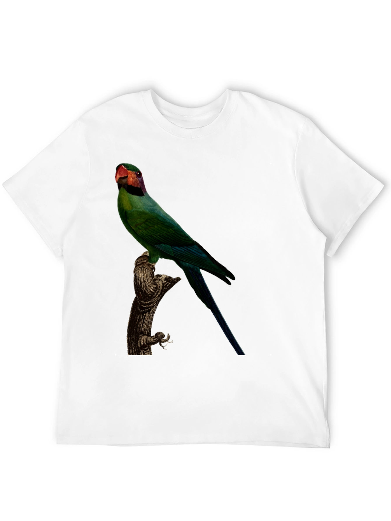 Parrot Graphic Tee - Black Cotton T-Shirt