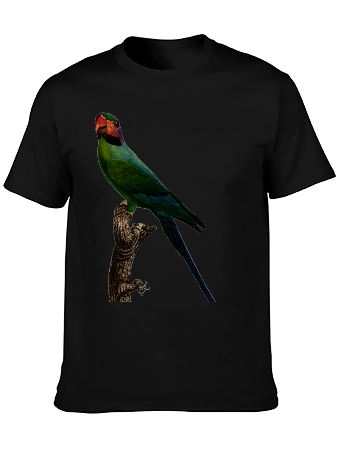 Parrot Graphic Tee - Black Cotton T-Shirt