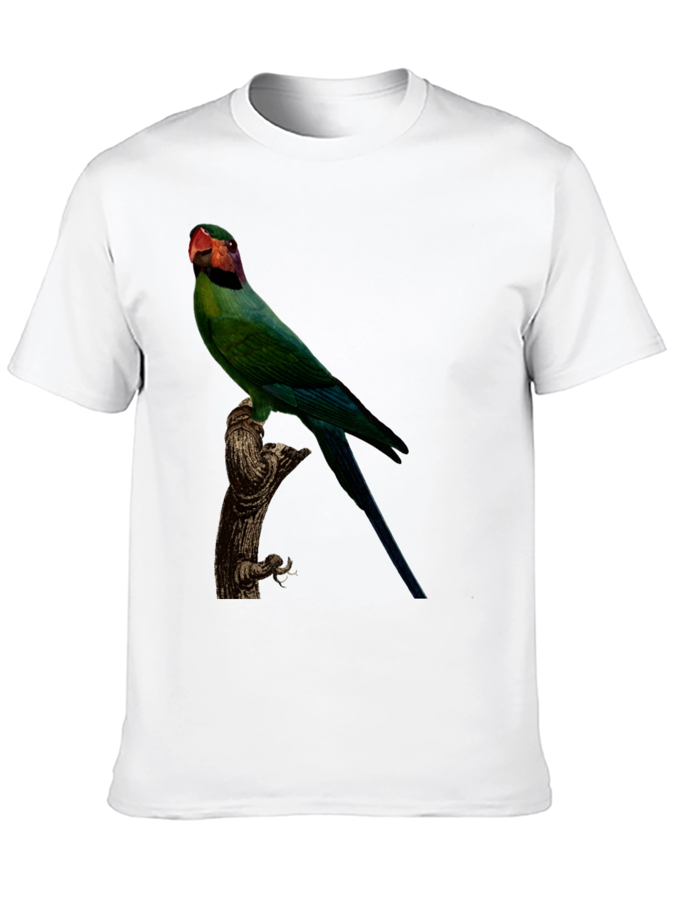 Parrot Graphic Tee - Black Cotton T-Shirt
