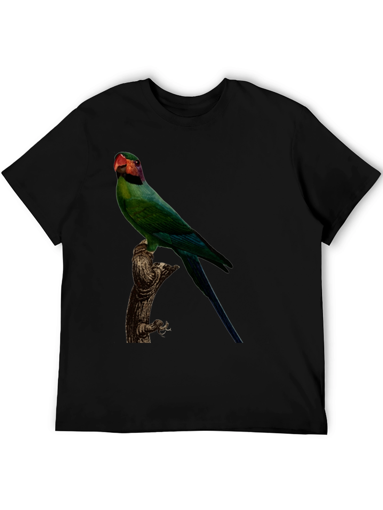 Parrot Graphic Tee - Black Cotton T-Shirt