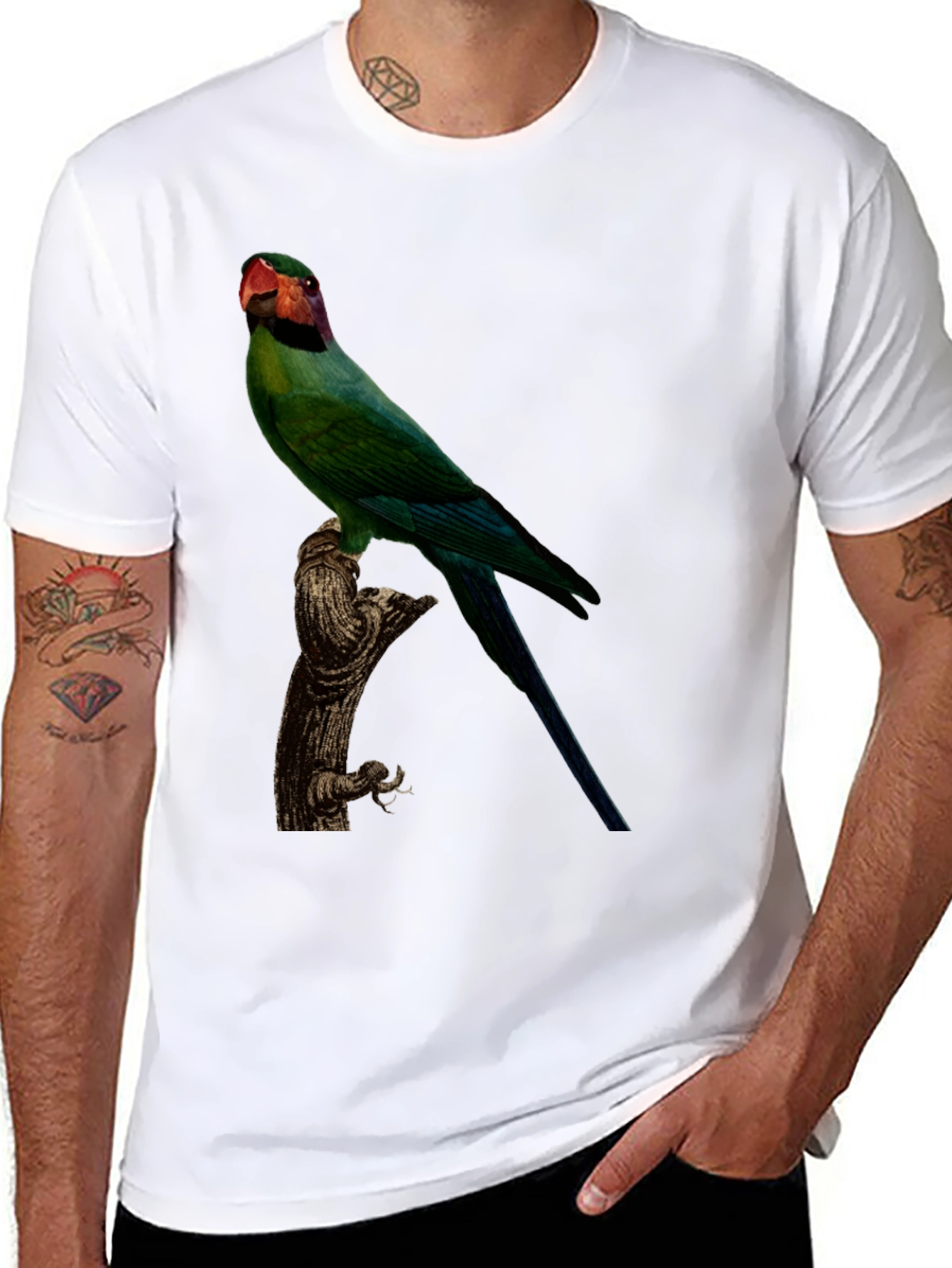 Parrot Graphic Tee - Black Cotton T-Shirt