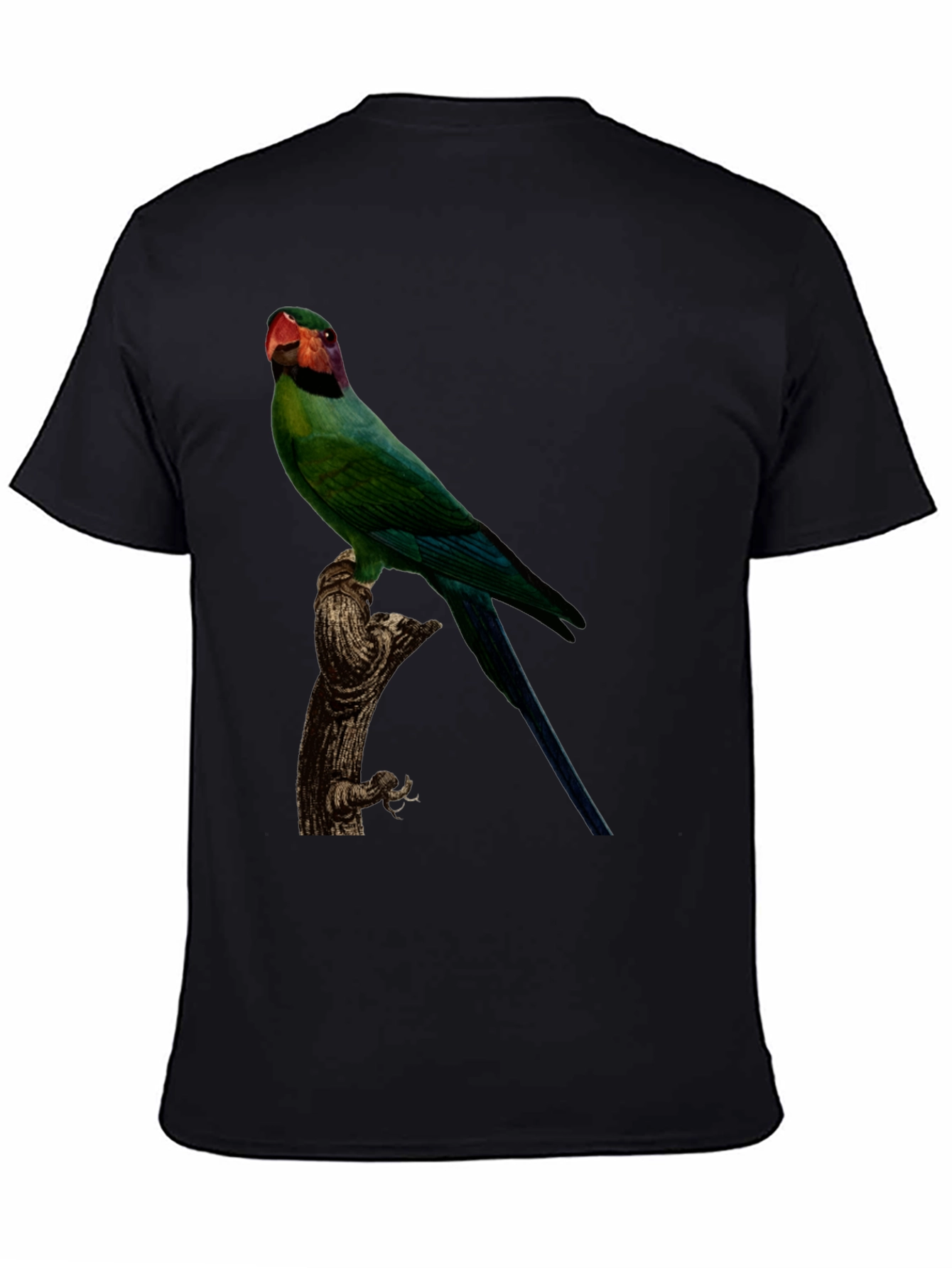 Parrot Graphic Tee - Black Cotton T-Shirt