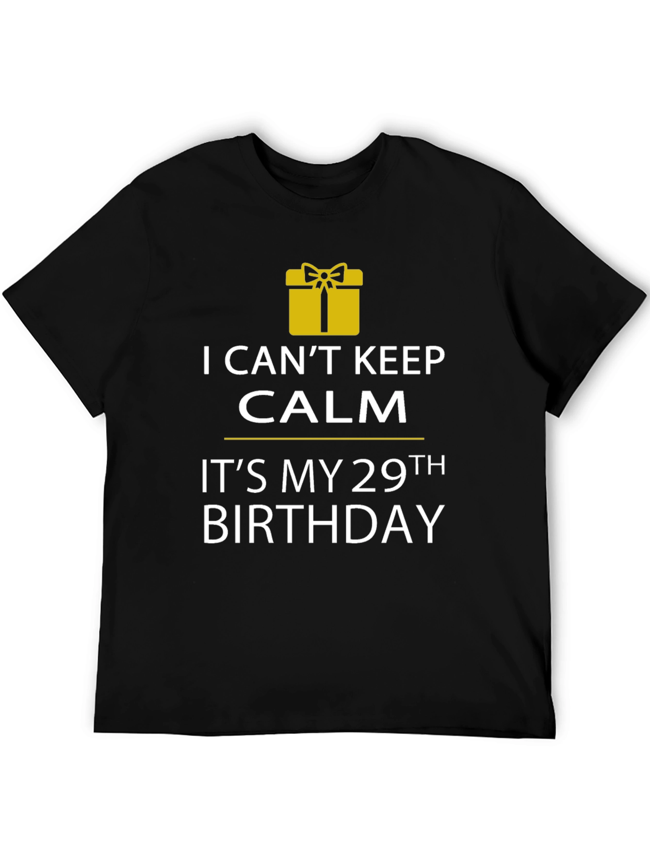 29th Birthday T-Shirt - I Cant Keep Calm