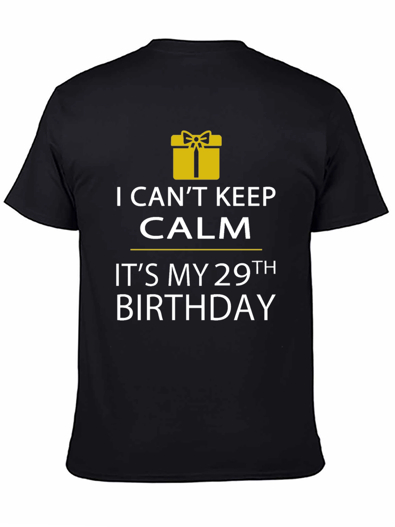 29th Birthday T-Shirt - I Cant Keep Calm