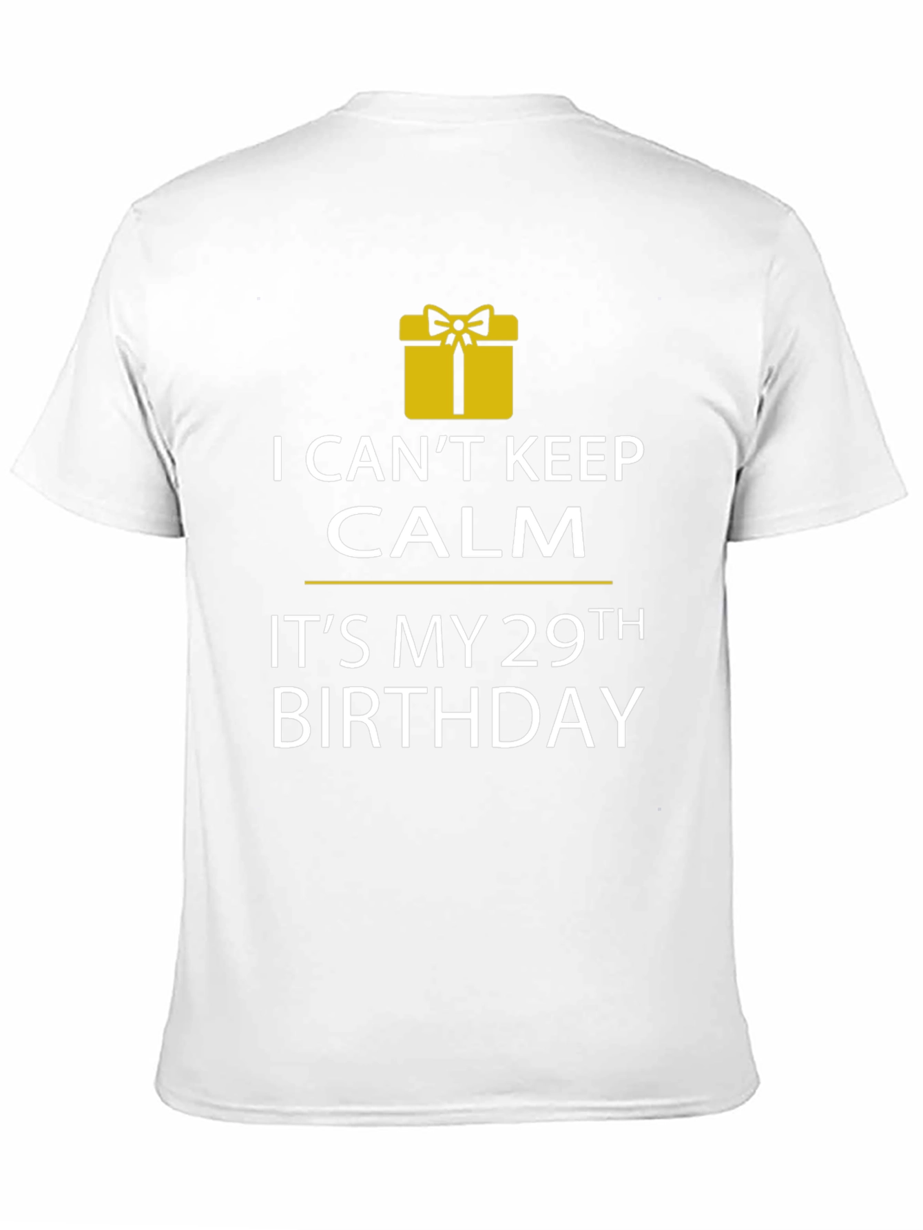 29th Birthday T-Shirt - I Cant Keep Calm