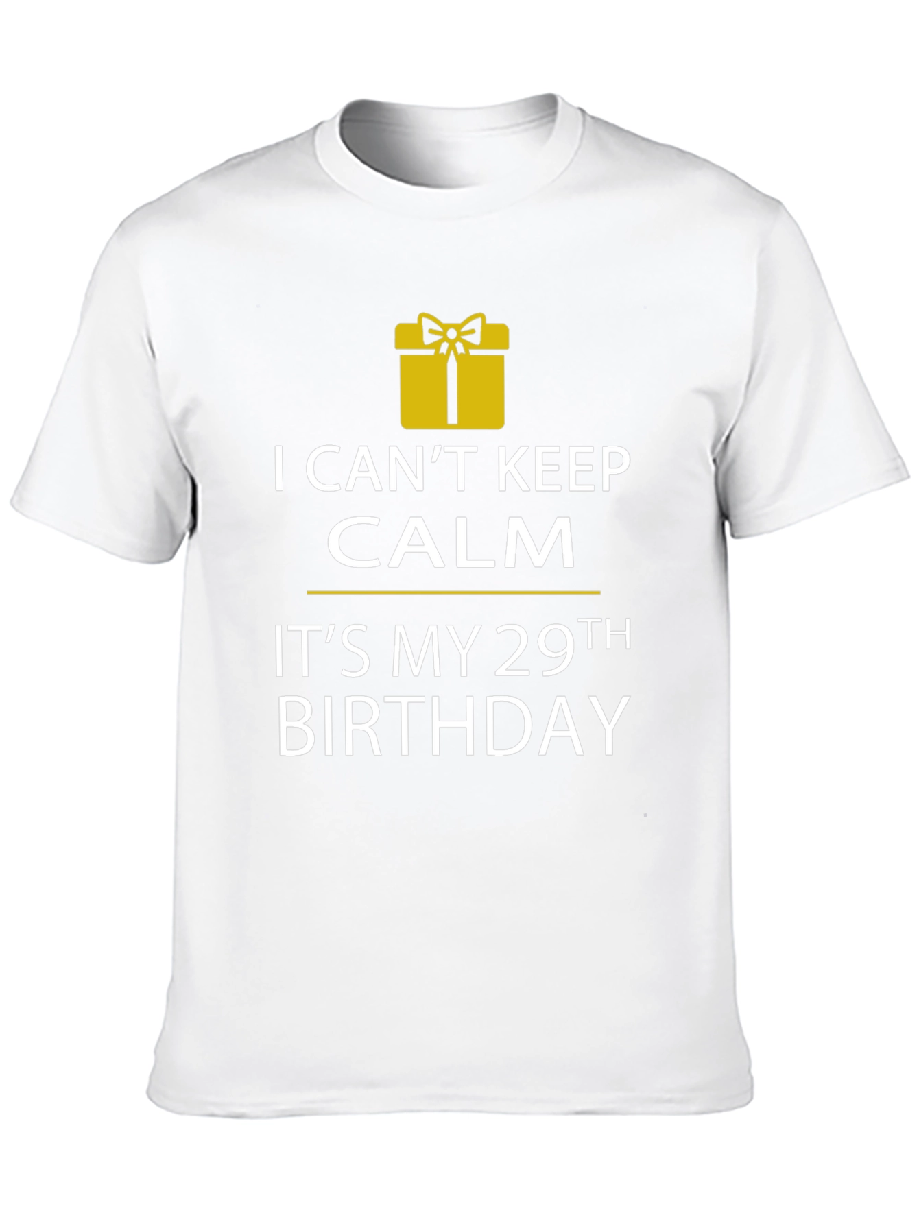 29th Birthday T-Shirt - I Cant Keep Calm